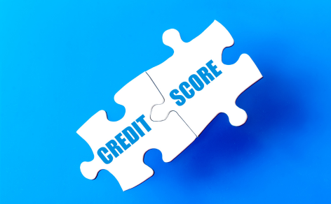 Credit Score Data